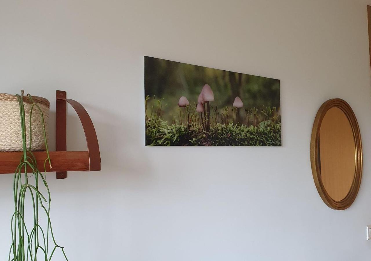 Chambre D'Hotes De Charme, Un Temps En Foret Westhouse Zewnętrze zdjęcie